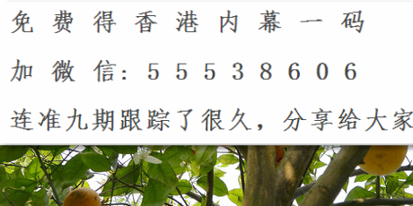 澳门王中王100%的资料三中三,最新热门解析实施_精英版121,127.13