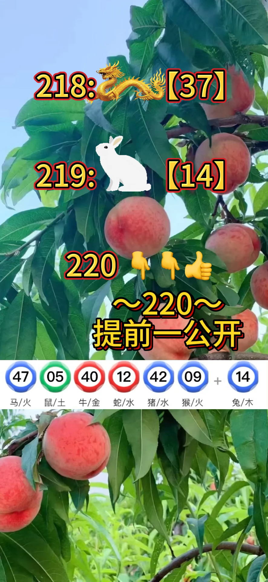 新澳门4949免费资料大全,资深解答解释落实_特别款72.21127.13.