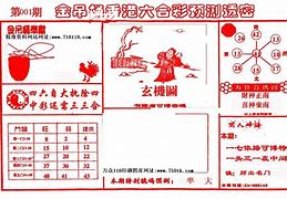 香港金吊桶精准一肯中特资料,豪华精英版79.26.45-江GO121,127.13
