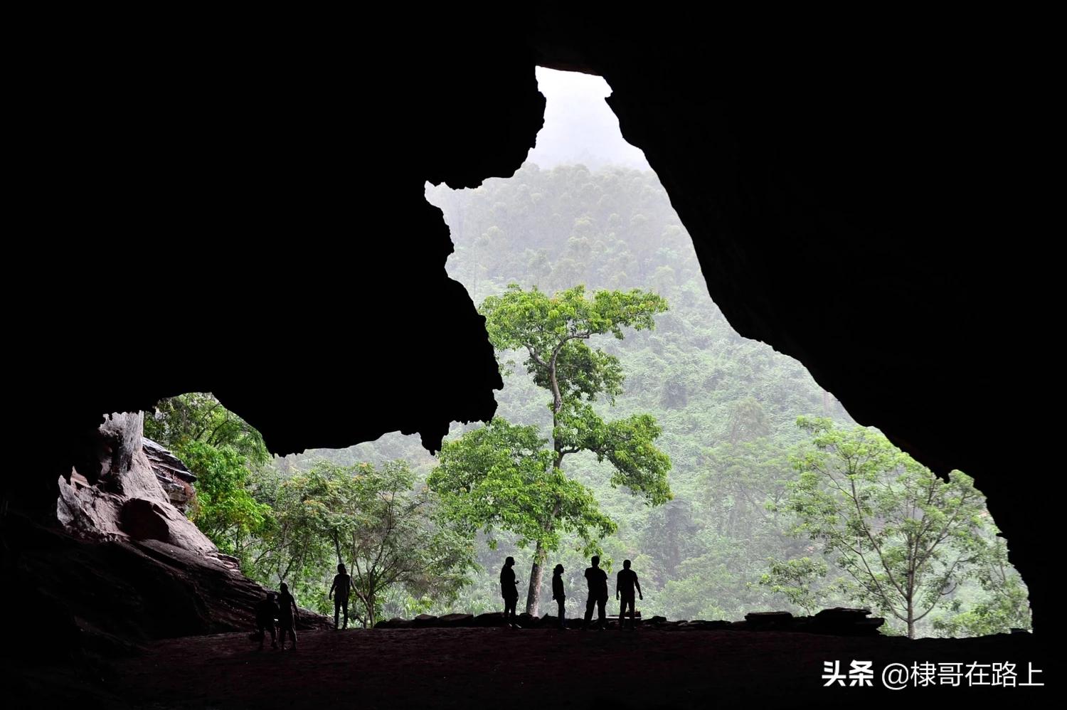 星空电影网高清在线观看